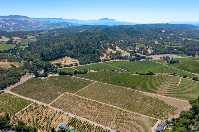 bird's eye view with a mountain view and a rural view