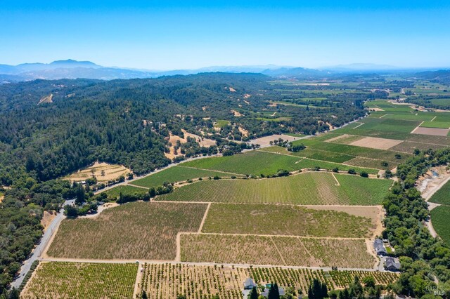 birds eye view of property featuring a mountain view and a rural view