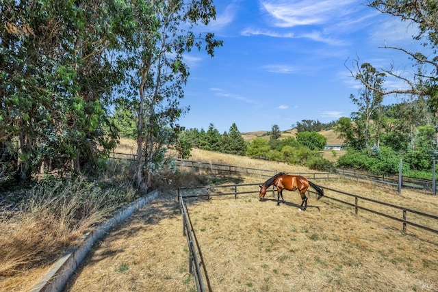 view of yard featuring a rural view