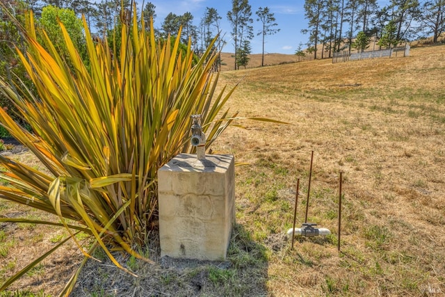 view of yard featuring a rural view