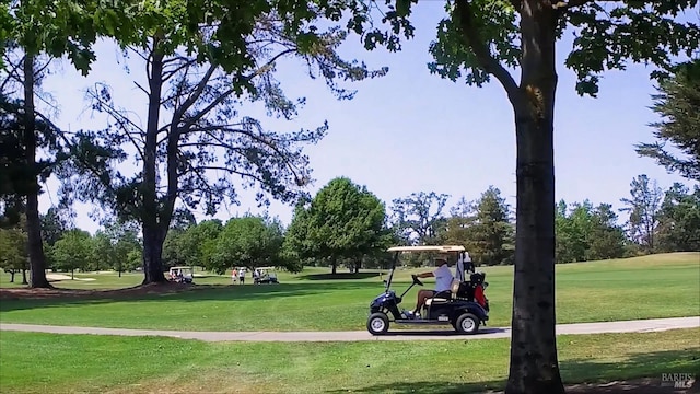 view of property's community with a yard