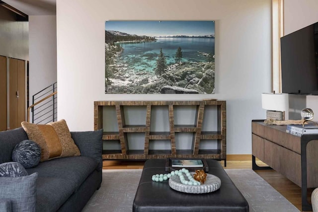 living room with hardwood / wood-style floors