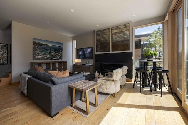 living room featuring light hardwood / wood-style floors