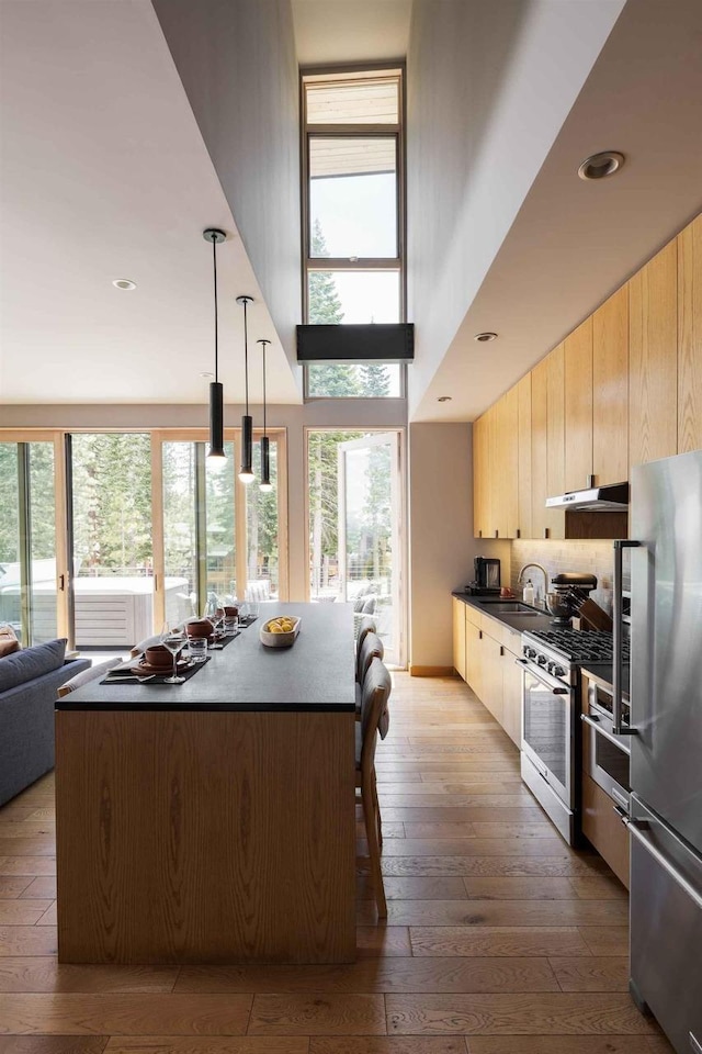 kitchen featuring hanging light fixtures, light hardwood / wood-style floors, a healthy amount of sunlight, and appliances with stainless steel finishes