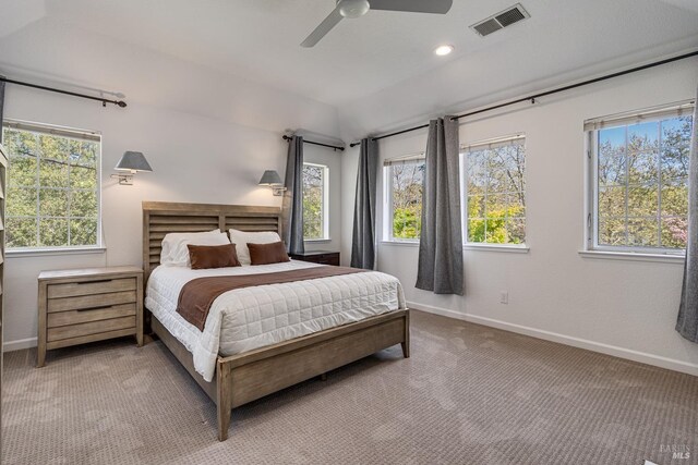 bedroom with ceiling fan and carpet floors