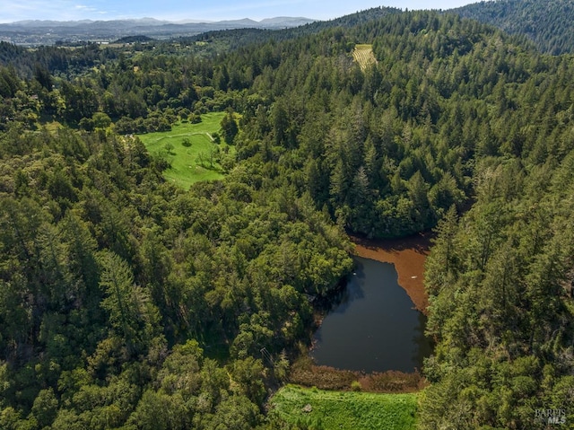 bird's eye view with a water and mountain view