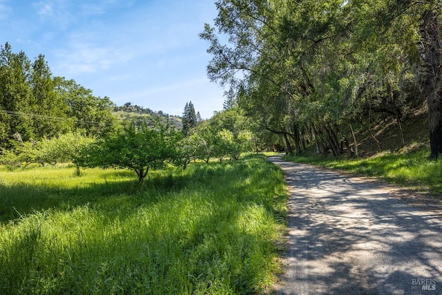 view of road