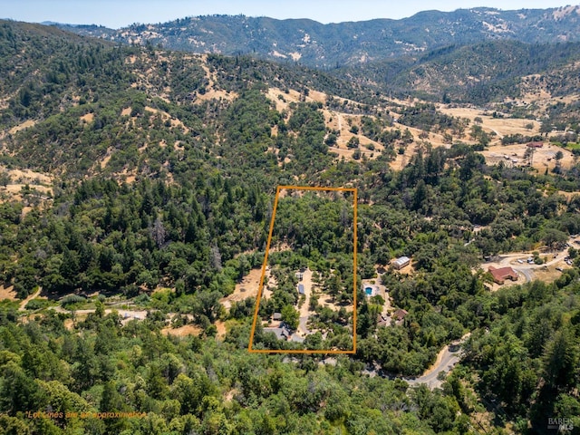 birds eye view of property featuring a mountain view