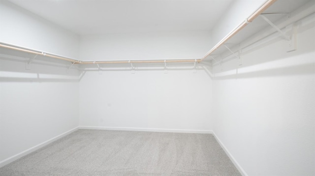 spacious closet with carpet