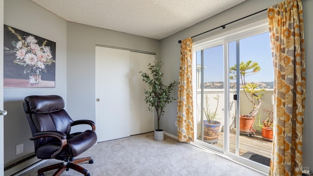 office space with carpet flooring and a textured ceiling