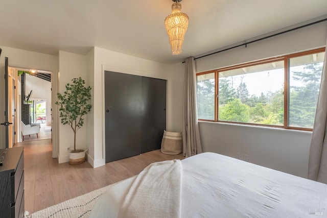 bedroom featuring light hardwood / wood-style floors and a closet