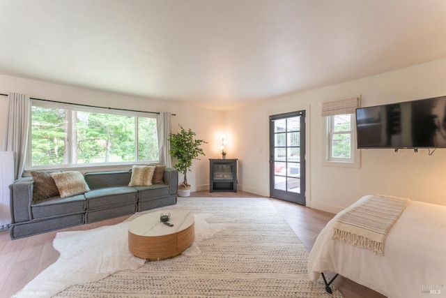 living room featuring a wood stove and light hardwood / wood-style flooring