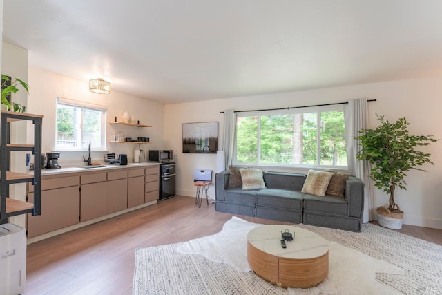 living room featuring sink and light hardwood / wood-style flooring