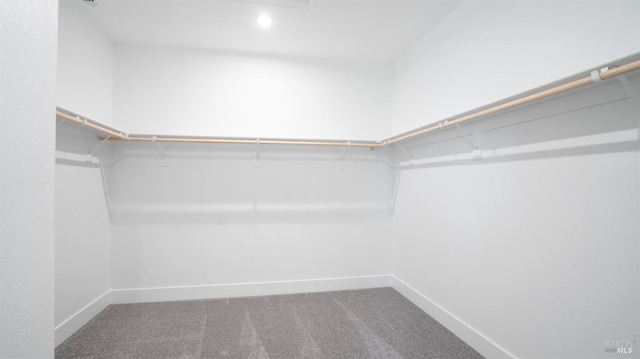 spacious closet featuring carpet