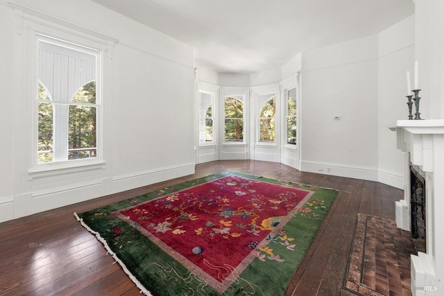 interior space with plenty of natural light and dark hardwood / wood-style flooring