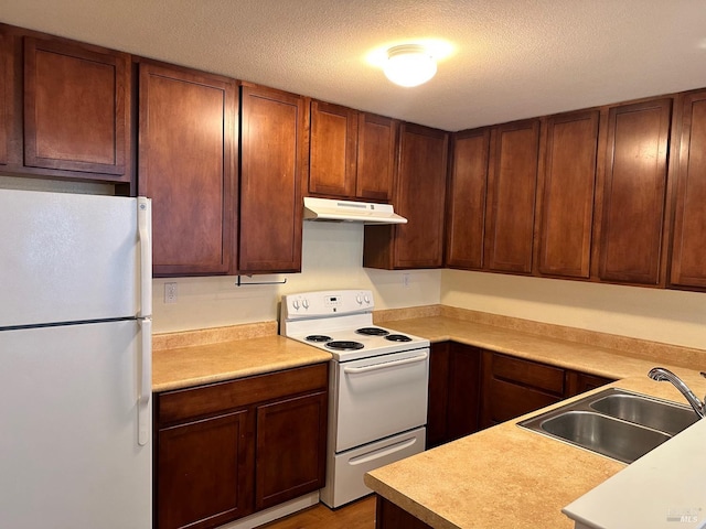 kitchen featuring wood-type flooring, sink, a textured ceiling, and white appliances