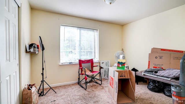 bedroom featuring carpet and baseboards