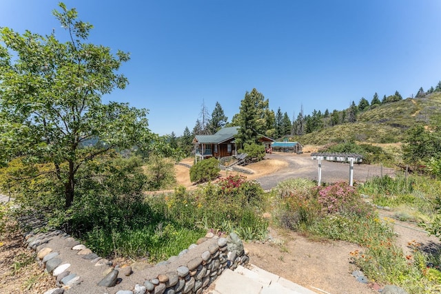 view of yard featuring driveway