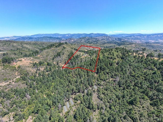 aerial view featuring a mountain view and a view of trees