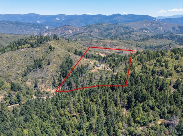 bird's eye view featuring a forest view and a mountain view