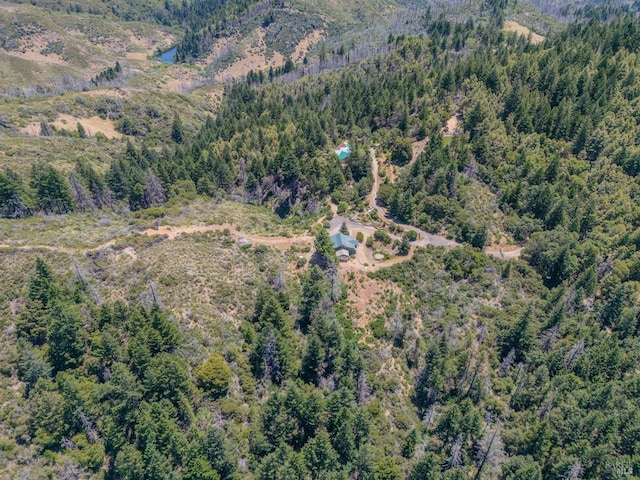 drone / aerial view with a forest view