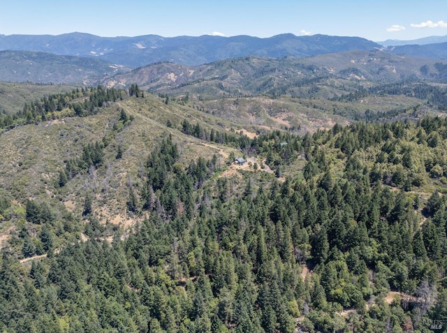 property view of mountains featuring a forest view