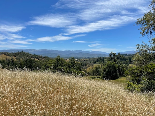 Listing photo 3 for 22551 Rifle Range Rd, Covelo CA 95428