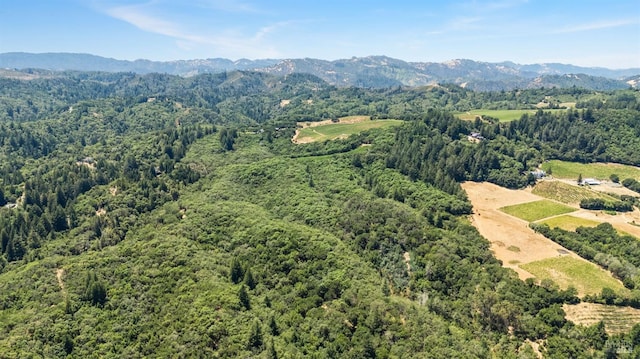 6445 Mountain View Ranch Rd, Healdsburg CA, 95448 land for sale