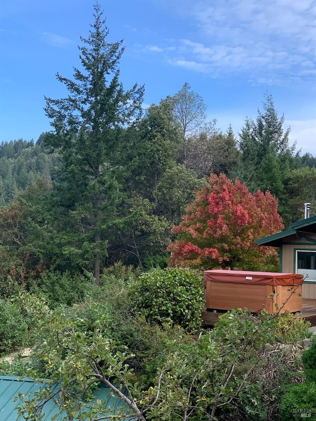 view of yard with a hot tub