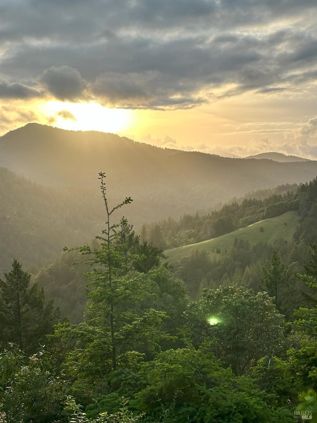 view of mountain feature