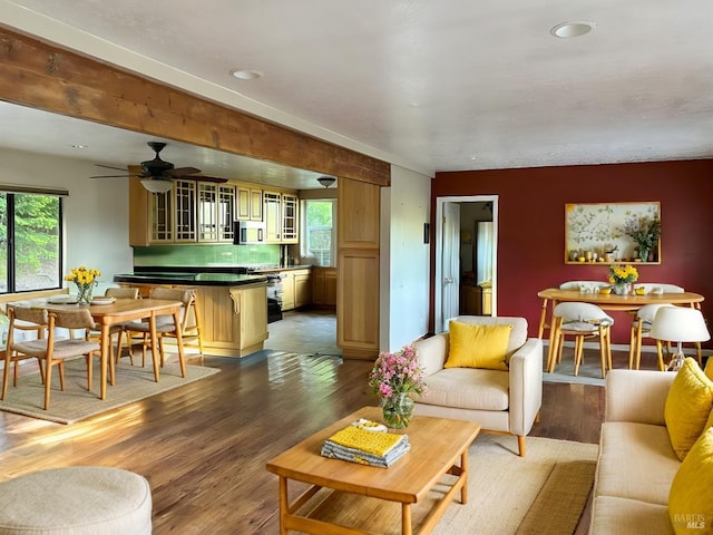 living room featuring hardwood / wood-style floors and ceiling fan