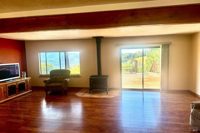 sitting room featuring wood-type flooring, a healthy amount of sunlight, and a wood stove