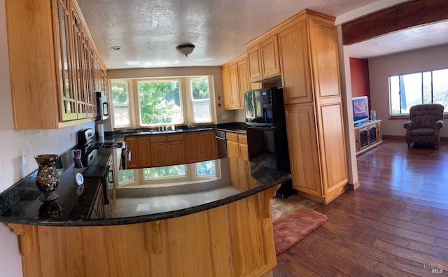 kitchen with kitchen peninsula, stainless steel appliances, and dark wood-type flooring