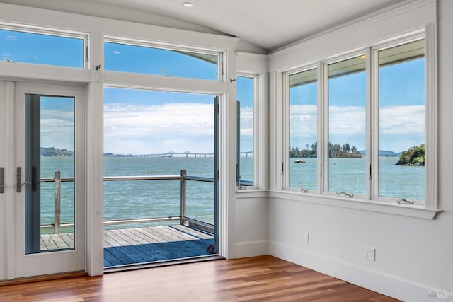 doorway featuring a water view and a wealth of natural light