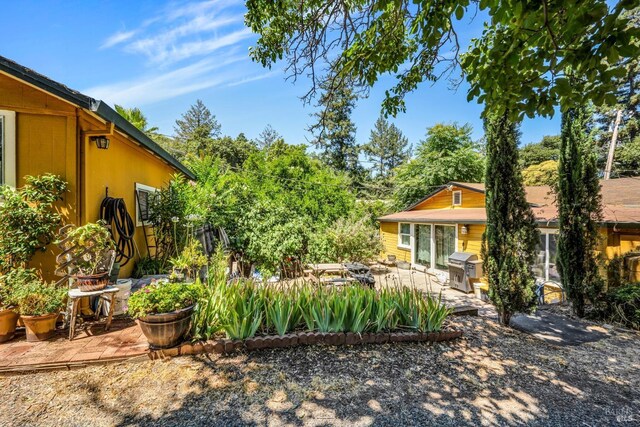 view of yard featuring a patio area