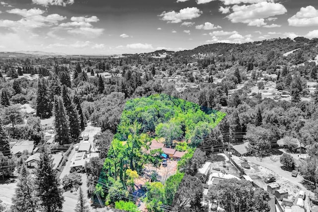 2141 W Lincoln Ave, Napa, CA 94558 - aerial overview of property's location with a mountain backdrop, a heavily wooded area, and property parcel outlined