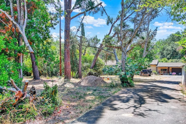 2141 W Lincoln Ave, Napa, CA 94558 - view of asphalt driveway
