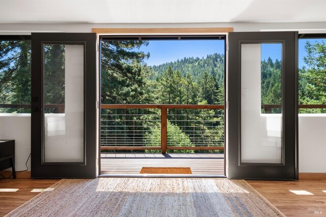 doorway featuring hardwood / wood-style floors