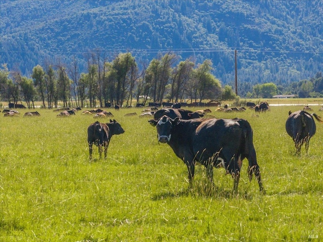 property view of mountains featuring a rural view