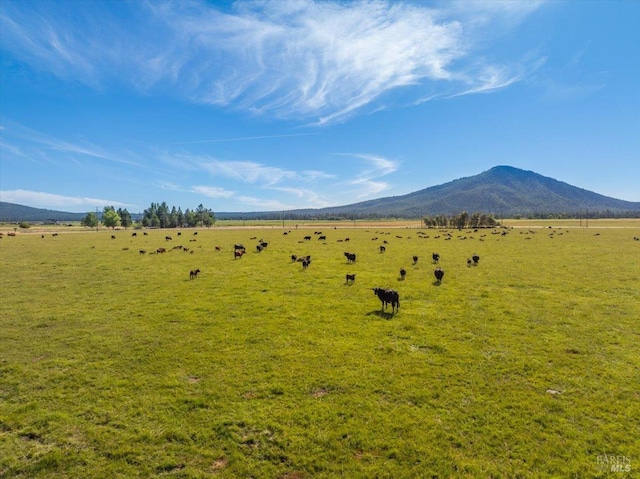 view of mountain feature with a rural view