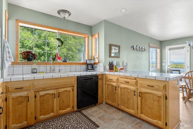 kitchen featuring dishwasher, a wealth of natural light, and kitchen peninsula