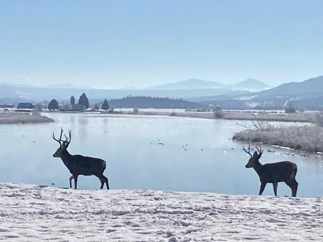 water view with a mountain view