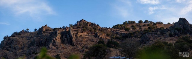 view of mountain feature