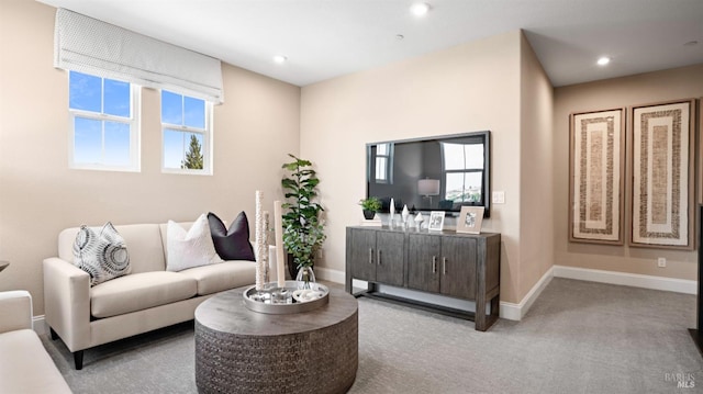 carpeted living room with plenty of natural light