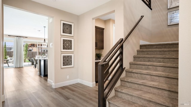 stairs with hardwood / wood-style flooring