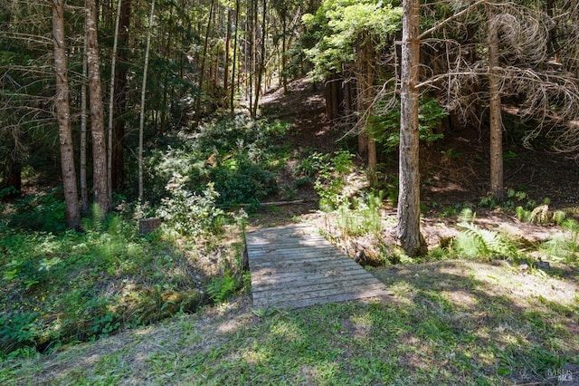 18751 Appian Way, Navarro, CA 95463 - view of yard with a view of trees