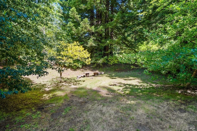 18751 Appian Way, Navarro, CA 95463 - view of yard