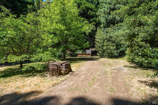 18751 Appian Way, Navarro, CA 95463 - view of yard featuring a forest view and a storage shed