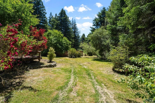 18751 Appian Way, Navarro, CA 95463 - view of green lawn