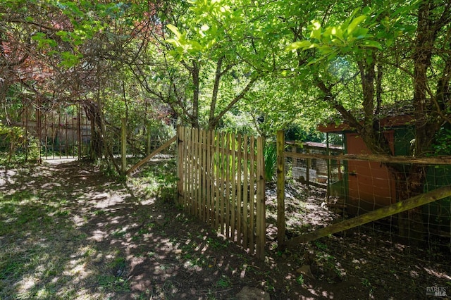 18751 Appian Way, Navarro, CA 95463 - view of yard